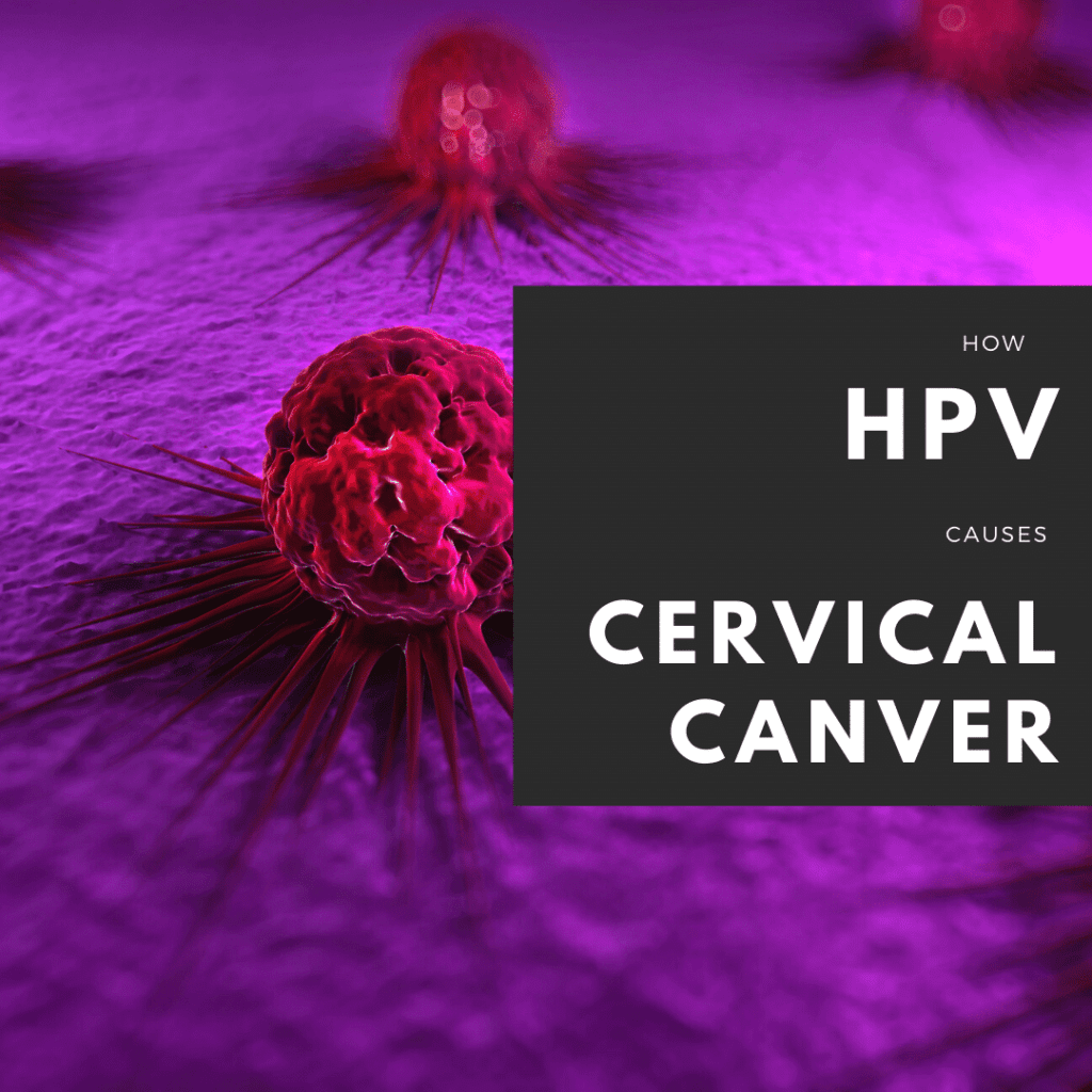 how HPV causes cervical cancer