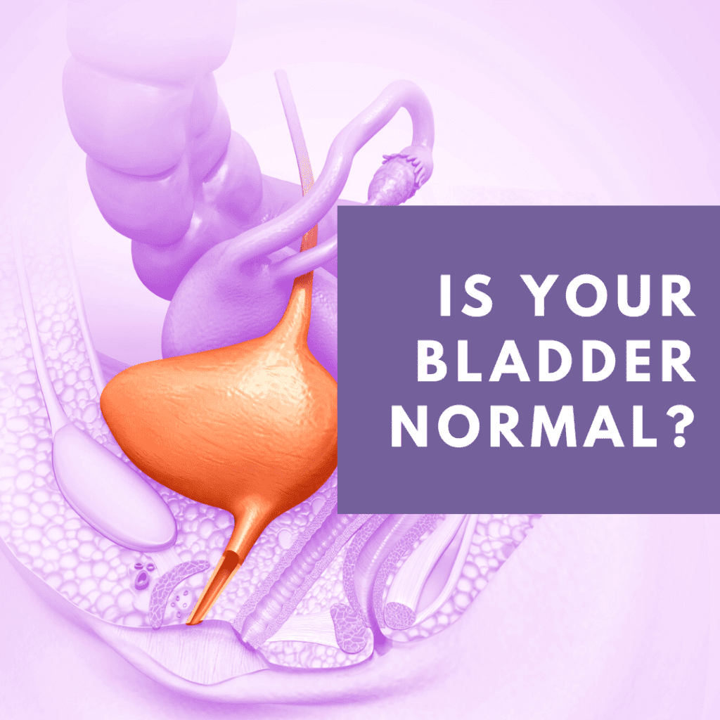 Is your bladder normal
